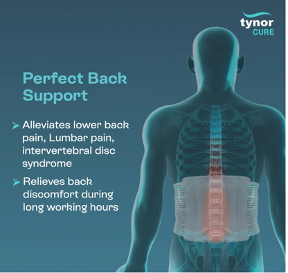 TYNOR Contoured Lumbar Sacral Support
