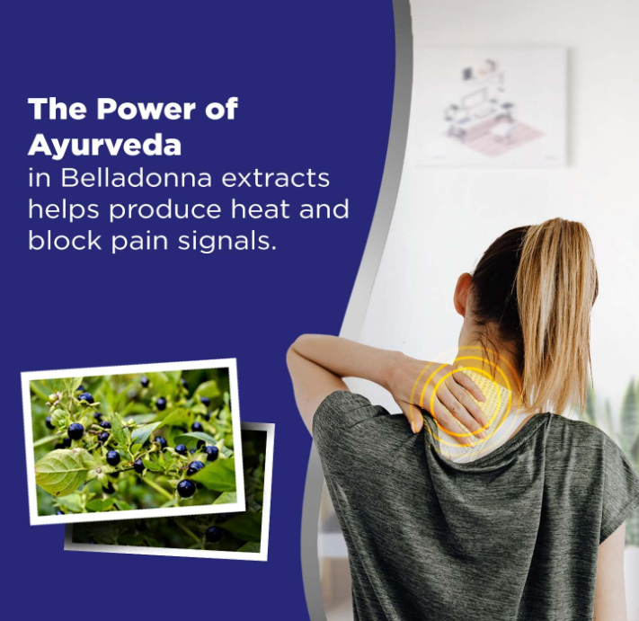 LION BELLADONNA PAIN RELIEF PLASTER 10PCS