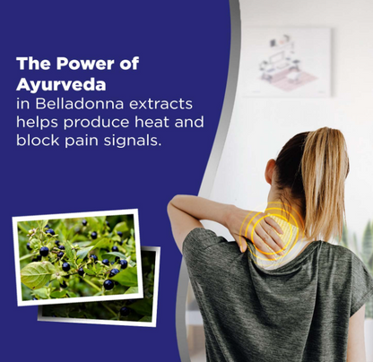 LION BELLADONNA PAIN RELIEF PLASTER 10PCS