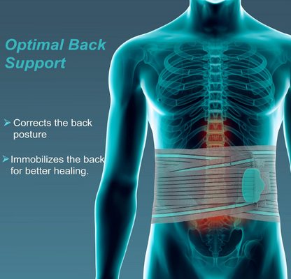 TYNOR Lumbo Sacral Belt